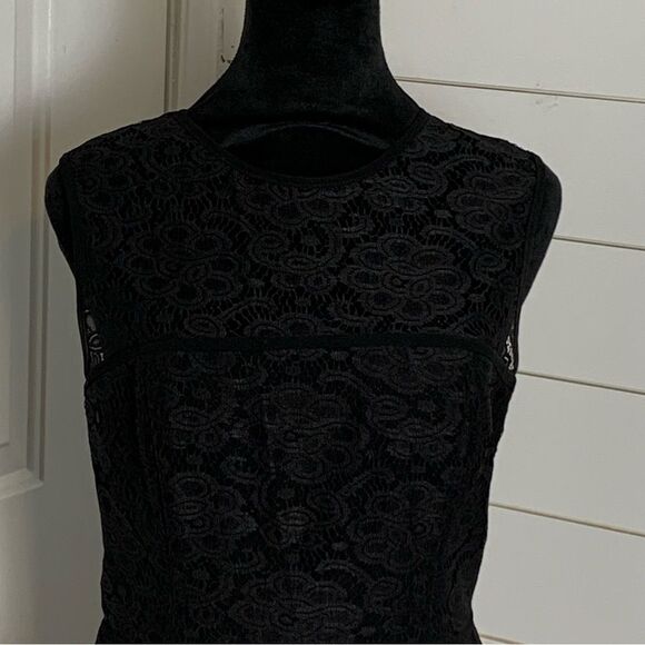 Jill Stuart Lace Cocktail Prom Wedding Guest Dress Woman’s Size 10 - Picture 3 of 15